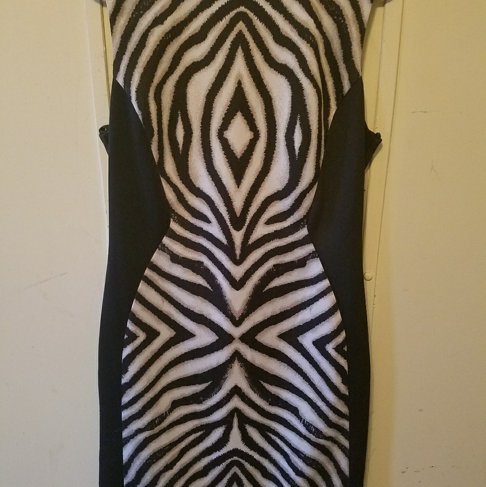 Animal Print Dress